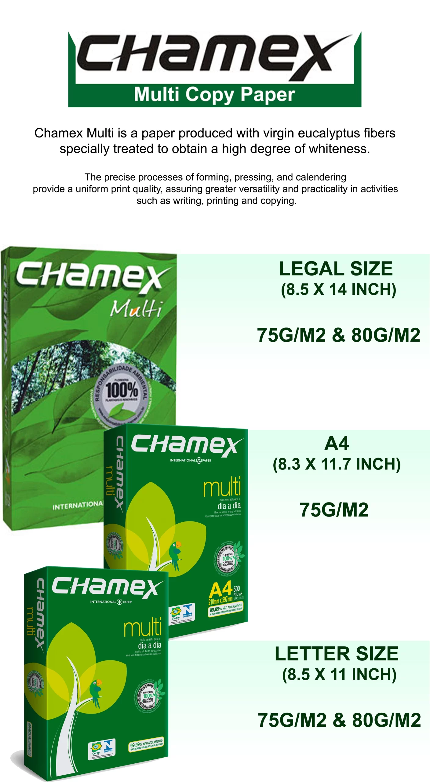CHAMEX.webp
